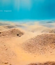  海底阳光穿透海水景象(1)2512#竖屏 	 