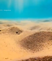  海底阳光穿透海水景象(1)2512#竖屏 	 