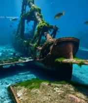  海底生锈残骸与游动鱼群92#竖屏 	 