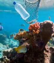  海底珊瑚礁与塑料瓶及渔网5506#竖屏 	 