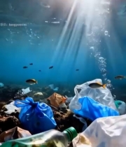  海底塑料垃圾堆积场景(1)7554#竖屏 	 