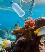  海底珊瑚礁与塑料瓶及渔网5506#竖屏 	 