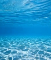  海底清澈海水与海底景象3913#竖屏 	 