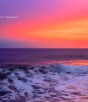  海边日落自然风光(6)5264#竖屏 	 