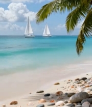  海边沙滩帆船与棕榈树景观386#竖屏 	 