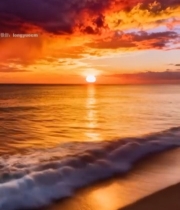  海边日落自然风光352#竖屏 	 