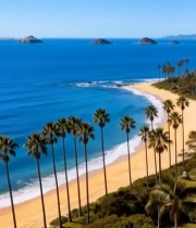  海边沙滩棕榈树自然风光1742#竖屏 	 