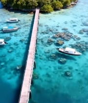  海岛海景空中俯瞰2169#竖屏 	 