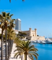  海滨城市码头棕榈树景观3320#竖屏 	 