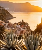  海边小镇日落风景2192#竖屏 	 