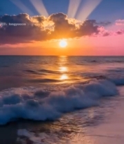  海边日出自然景观素材4779#竖屏 	 