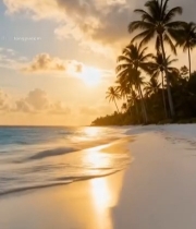  海边日落时分椰林沙滩美景3595#竖屏 	 