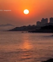  海边日出城市远景5508#竖屏 	 