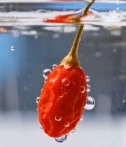  枸杞入水特写素材(1)4049#竖屏 	 