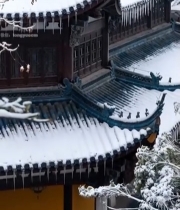  覆雪古建筑屋顶特写6964#竖屏 	 