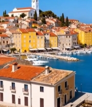  港口城镇彩色建筑与船只景观53#竖屏 	 