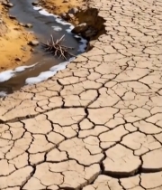  干旱地区蜿蜒小溪景象126#竖屏 	 