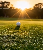  高尔夫球场草地的高尔夫球3440#竖屏 	 