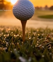  高尔夫球日出时置于草地球座4136#竖屏 	 