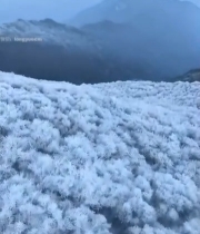  冬季山峦雾凇覆盖景象4043#竖屏 	 