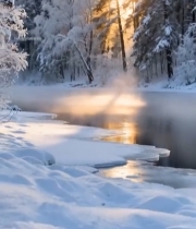  冬日森林河流日出美景7584#竖屏 	 