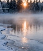  冬日森林湖泊日出景观6298#竖屏 	 