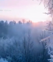  冬日雾凇树木日出景象(1)5631#竖屏 	 