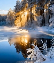  冬日森林湖面阳光雪景901#竖屏 	 