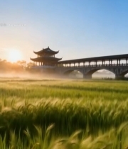  稻田古风建筑日出景色2122#竖屏 	 
