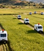  稻田中行驶的白色车辆(1)2094#竖屏 	 