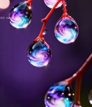  带星空图案水滴特写素材4818#竖屏 	 