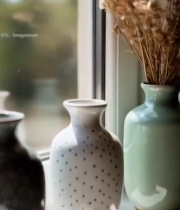  窗台上摆放的花瓶与干花1626#竖屏 	 