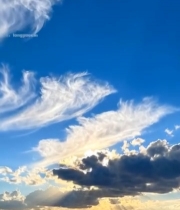  城市上空蓝天白云阳光景象1419#竖屏 	 