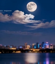  城市湖畔月夜全景7857#竖屏 	 