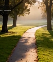  晨光下树林中的小路风景6376#竖屏 	 