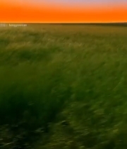  草原黄昏自然风光7611#竖屏 	 