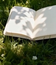  草地上翻开的空白笔记本2903#竖屏 	 