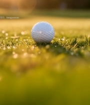  草地上带水珠的高尔夫球67#竖屏 	 