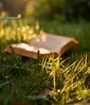  草地上翻开的书本7133#竖屏 	 