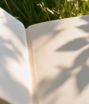  草地上翻开的书籍3170#竖屏 	 