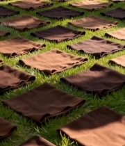  草地上晾晒的棕色布料433#竖屏 	 