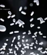  白色药片悬浮画面素材2104#竖屏 	 