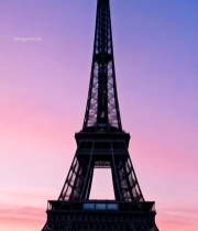  巴黎埃菲尔铁塔黄昏景象3047#竖屏 	 
