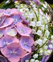  玻璃容器中绣球花与铃兰花7884#竖屏 	 