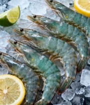  冰鲜大虾配柠檬特写5205#竖屏 	 