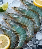  冰鲜海虾搭配柠檬青柠3848#竖屏 	 