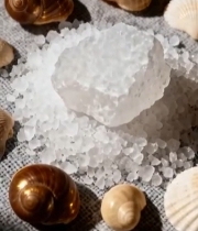  贝壳与冰糖静物特写素材2715#竖屏 	 