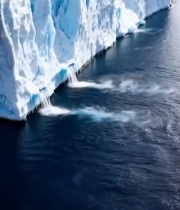  北极冰川与海水景观11#竖屏 	 