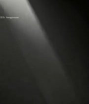  白色物体特写素材2157#竖屏 	 