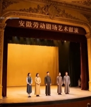  安徽劳动剧场艺术表演场景6714#竖屏 	 